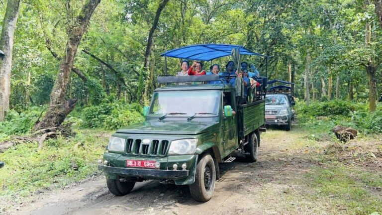 पर्यटन प्रवर्द्धनगर्न जनकौली वनमा जिप सफारी
