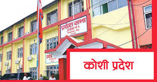 कोशी प्रदेशमा ४८७ सहकारी निष्क्रिय सूचीमा