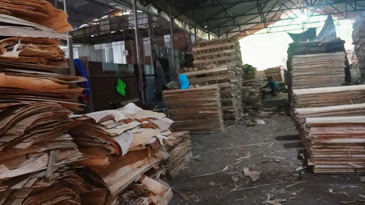 पर्वतमा रु दश करोडको लागतमा प्लाई उद्योग सञ्चालन