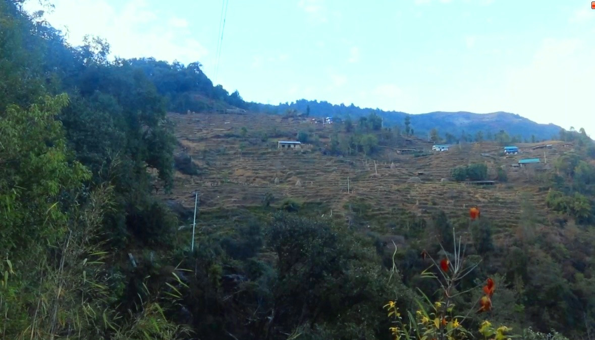 भोजपुरको टेम्केमैयुङमा केन्द्रीय विद्युत् विस्तार