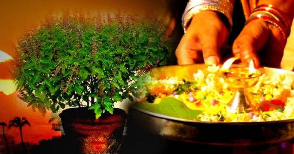 एक महिने कार्तिक स्नान, तुलसीको विशेष पूजा, आकाशदीप दान सुरु