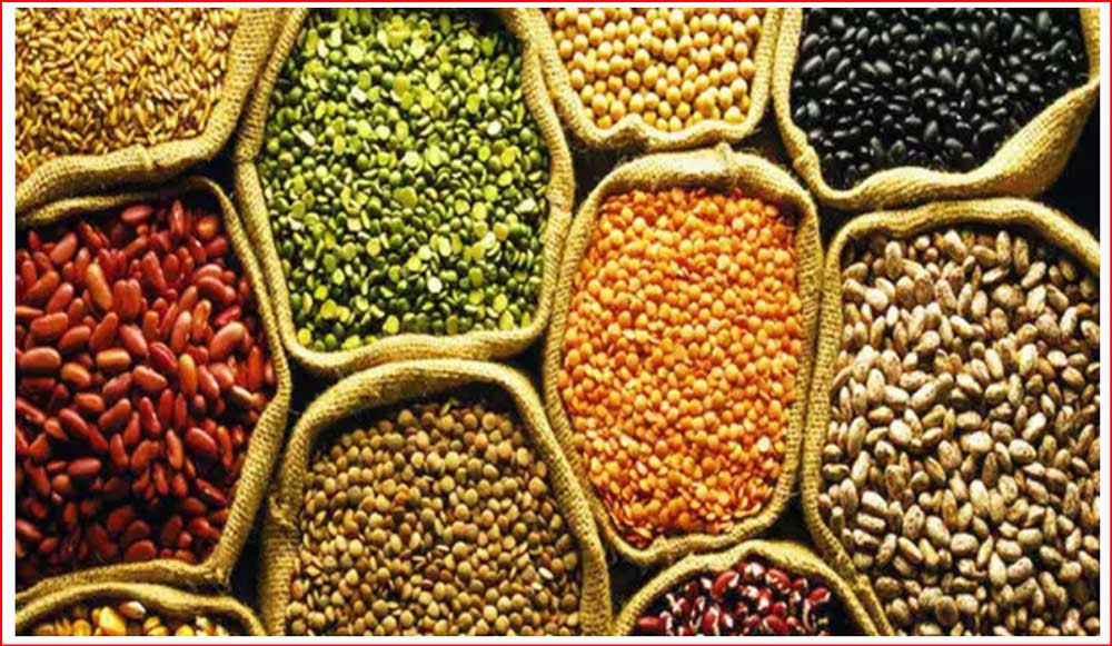 बिहीबार विश्व खाद्य दिवस मनाइँदै