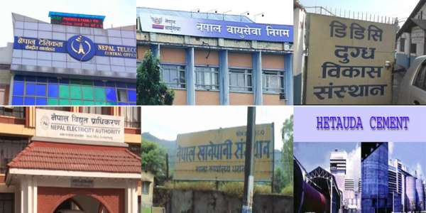 यस्ता छन् सरकारले सार्वजनिक संस्थानमा देखेको चुनौती र समस्या