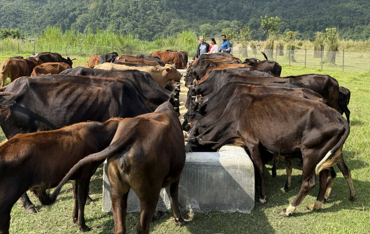 ‘दाता’ को सहयोगले गौ संरक्षण केन्द्र सञ्चालनमा सहज