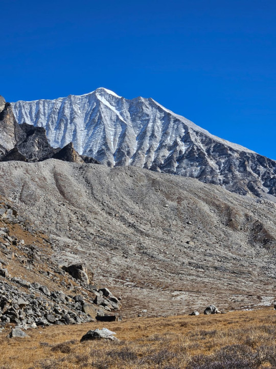 मुगुको कोइकी हिमालमा पहिलो पटक सफल आरोहण