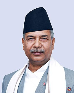 राष्ट्रपतिको कार्यभार उपराष्ट्रपतिलाई