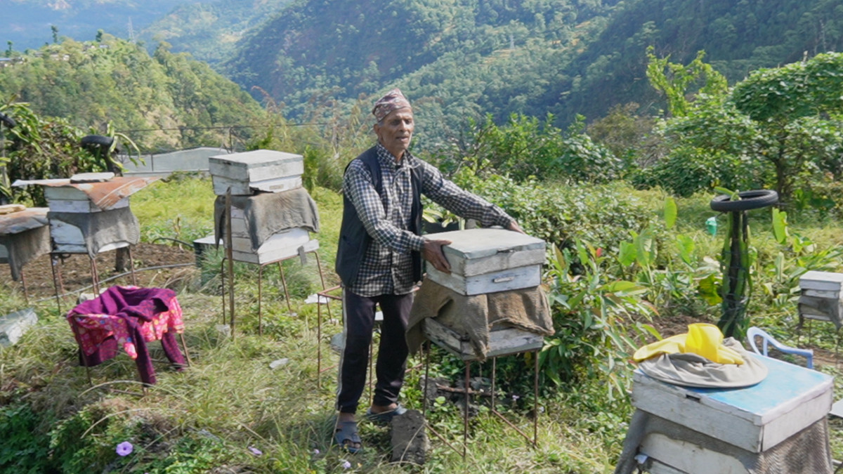 मौरीपालनबाट वार्षिक १५ लाख आम्दानी