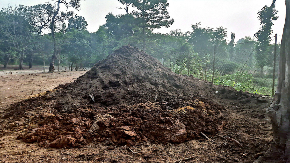प्राङ्गारिक मलको प्रयोगले माटोको उर्वराशक्ति बढ्यो