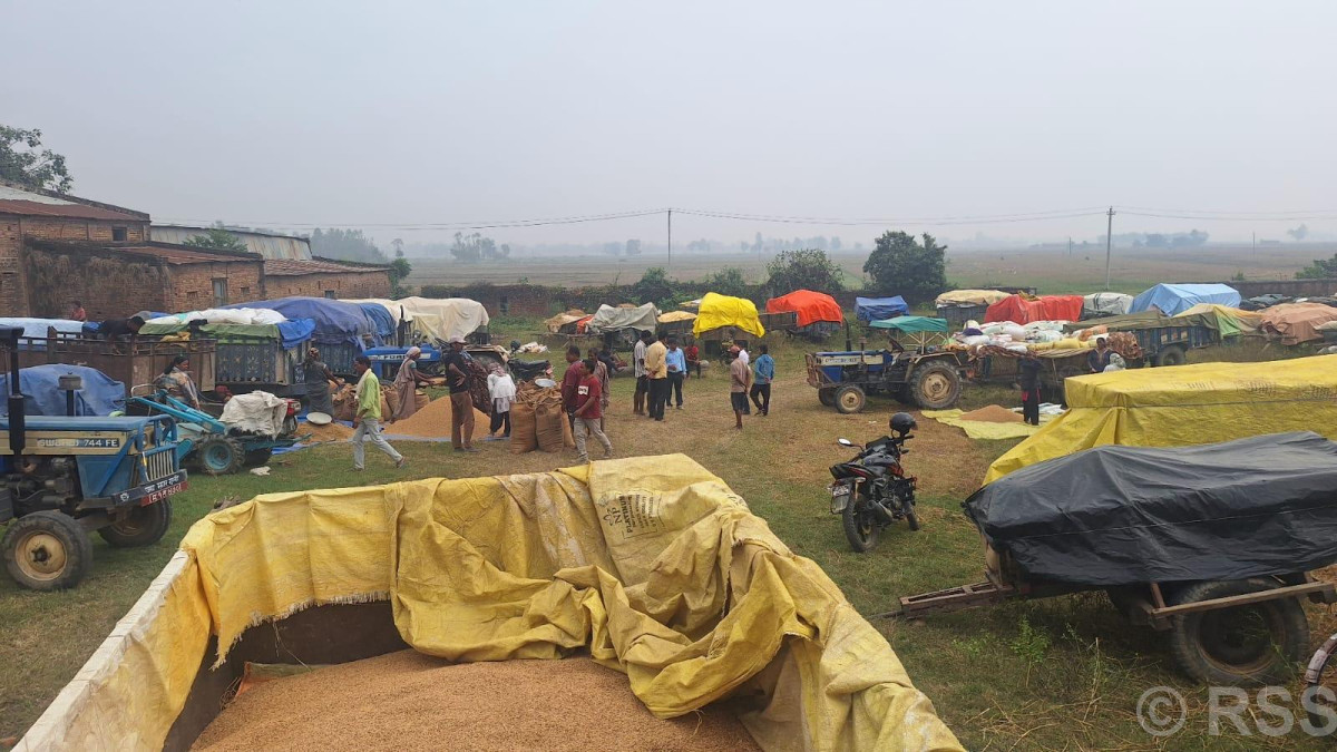 धान बेच्न किसान रातभर लाइनमा, सरकारी खरिद केन्द्रमा भीड