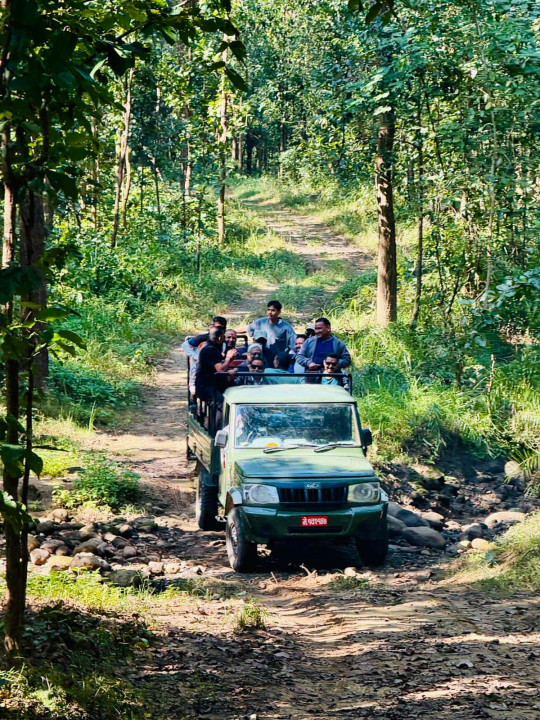 जङ्गल सफारीसँगै बाँके निकुञ्जमा पर्यटकको चहलपहल बढ्यो