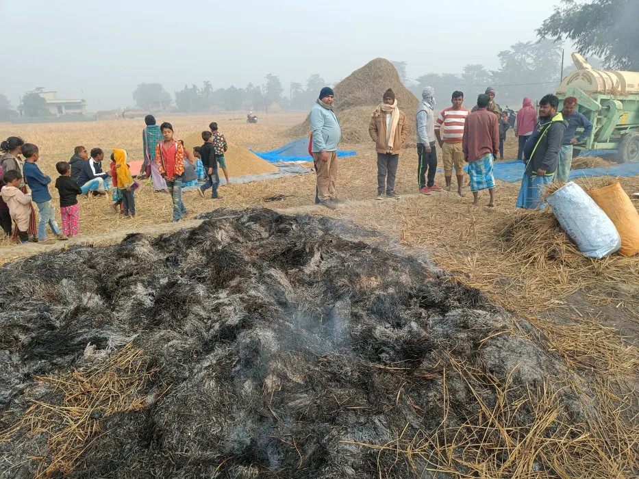 झापामा धानको कुन्युमा आगजनी, दुई बिगाहाको बाली नष्ट