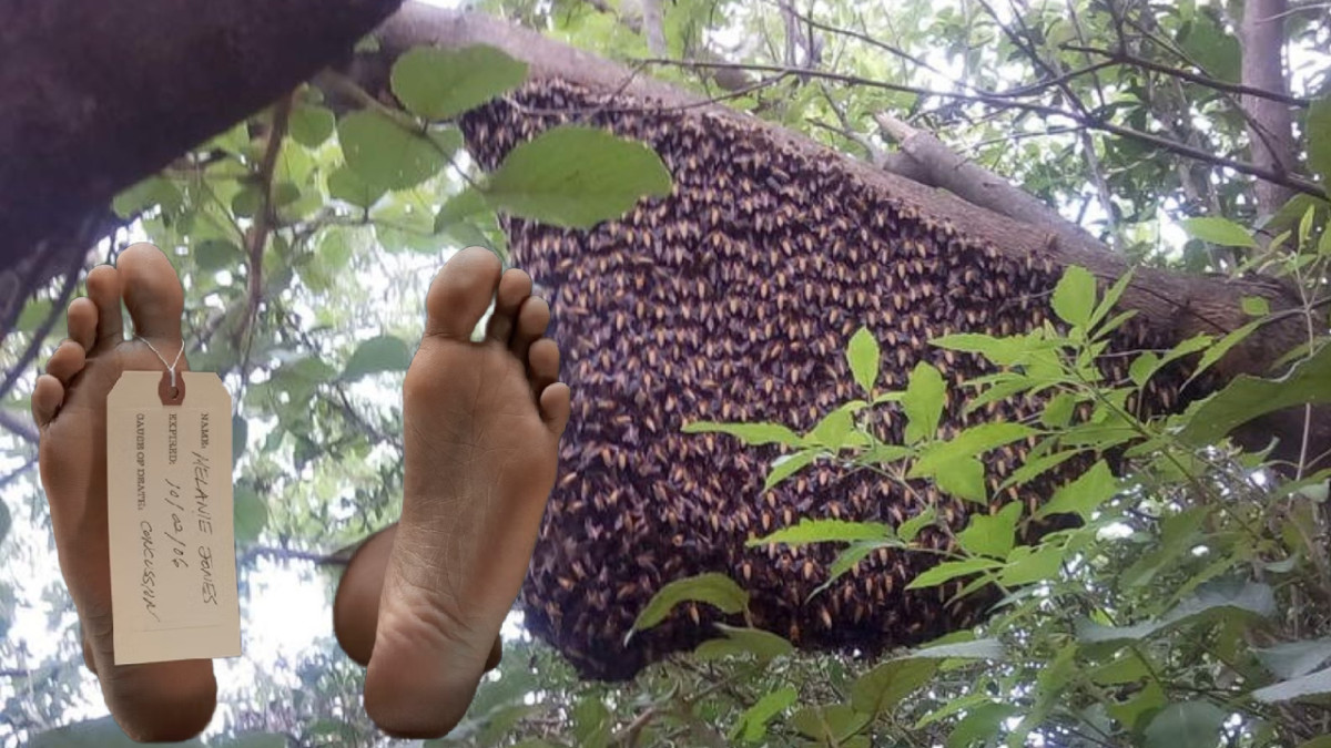 अरिङ्गालले टोकेर युवकको मृत्यु