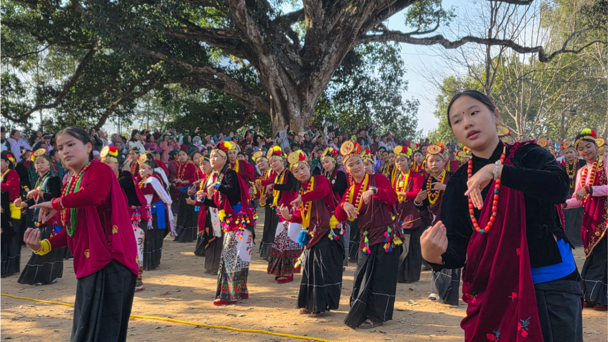losar (1).png
