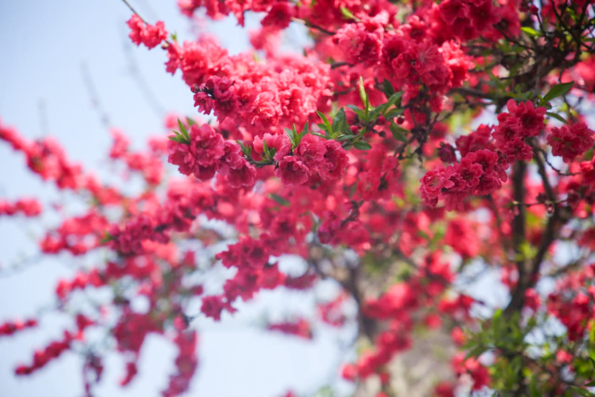 photo-14_63666c39.png