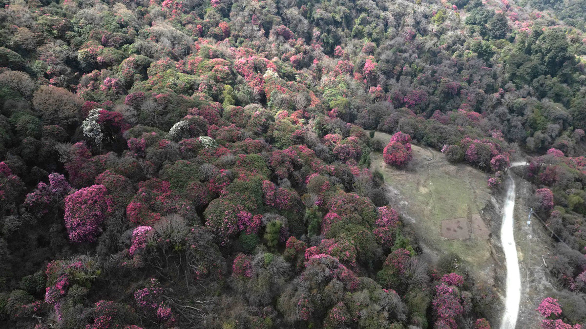 SG_MYAGDI_DJI_0154.jpg