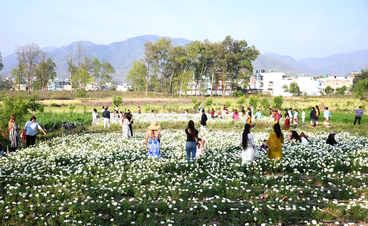 KDN-DangDSC_1997.jpg