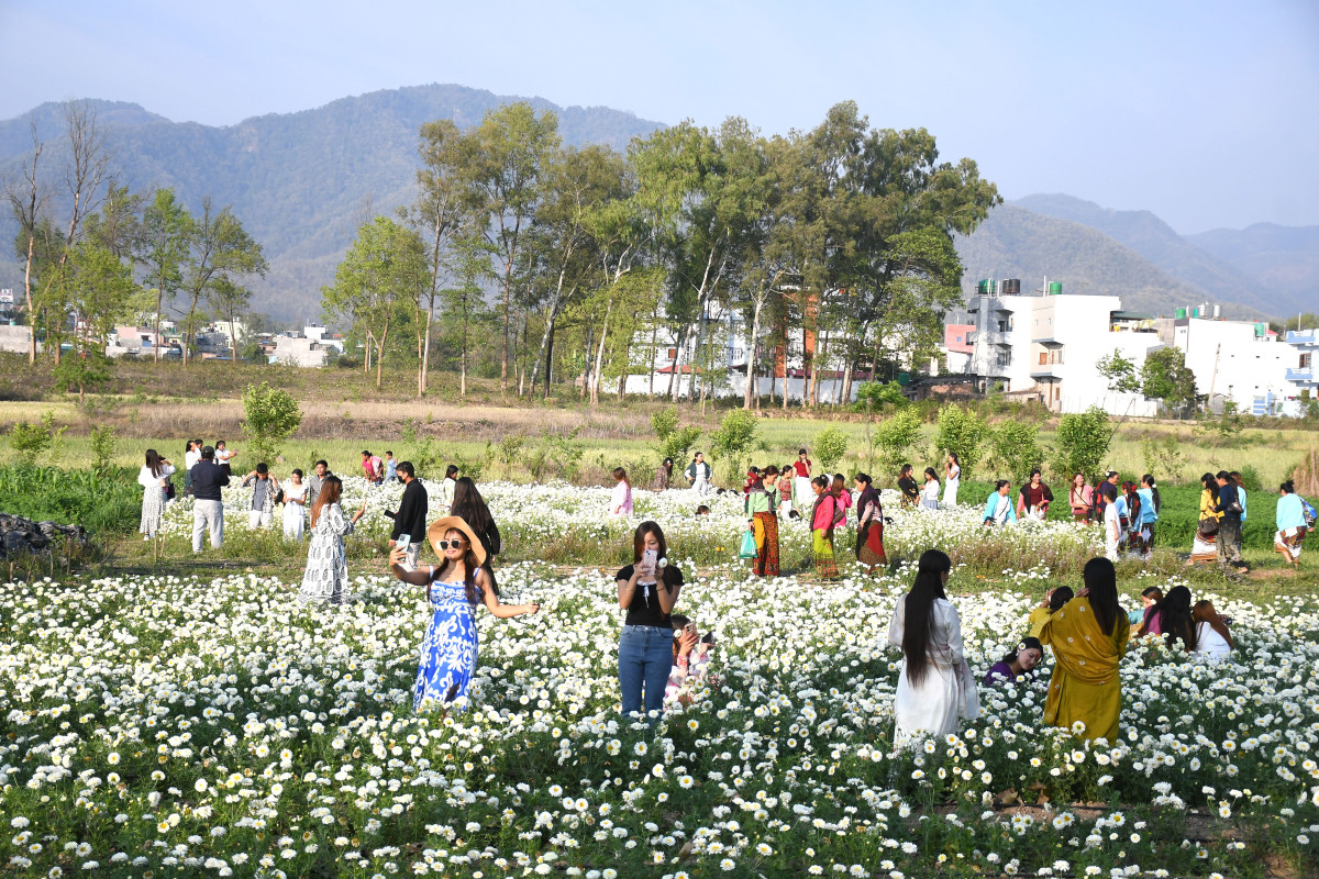 KDN_Dang-DSC_2000.jpg