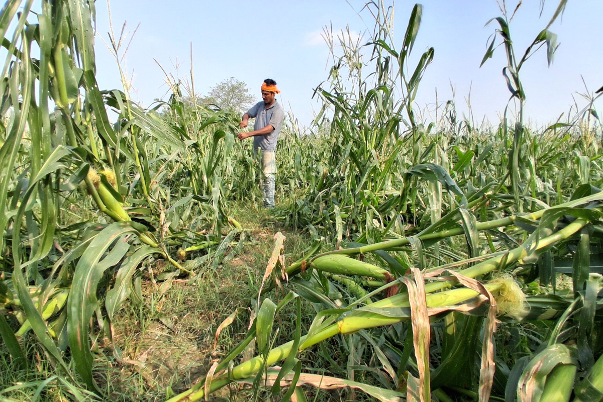NabinGadtaula-Sunsari-3020260413_105954copy.JPG