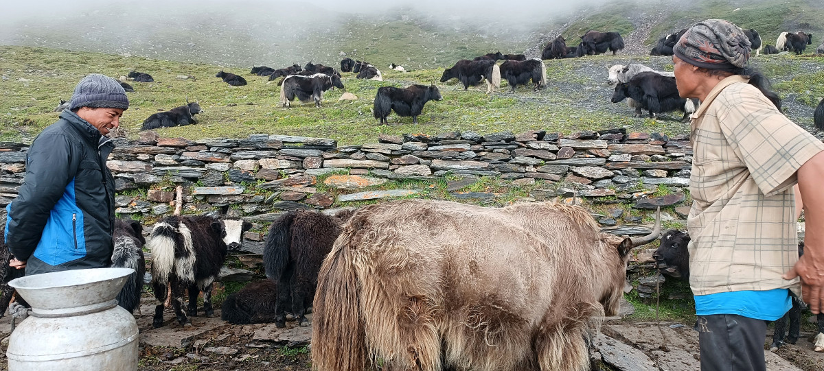 ST_Jomsom1776667817827.jpg