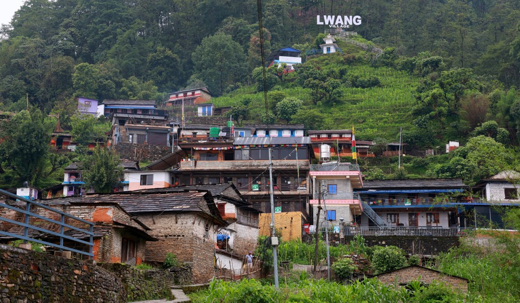 LWANG-MK-2.jpg