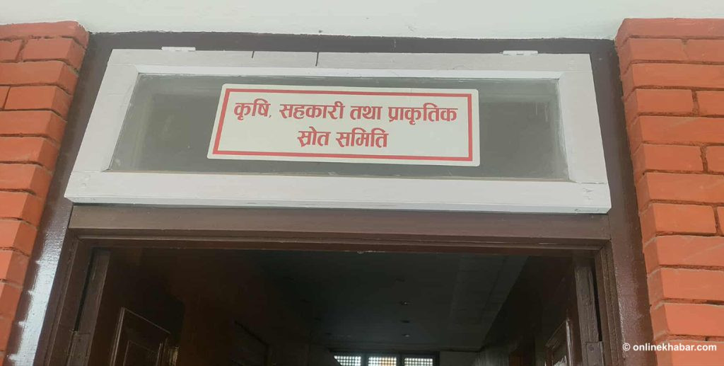 भूमि विधेयकमाथिको छलफल आज पनि स्थगित