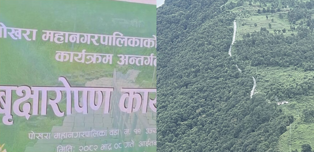 निर्माणको अन्तिम चरणमा फूलबारी–मणिपाल काँहु धरहरा सिँढी मार्ग