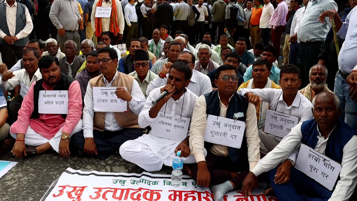 आज पनि धर्नामा उखु किसान